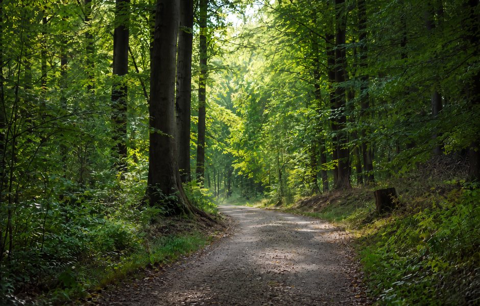KI-generierte Inhalte: Die Seminare geben dir Orientierung und lassen dir Raum, deinen eigenen Weg zu gehen.